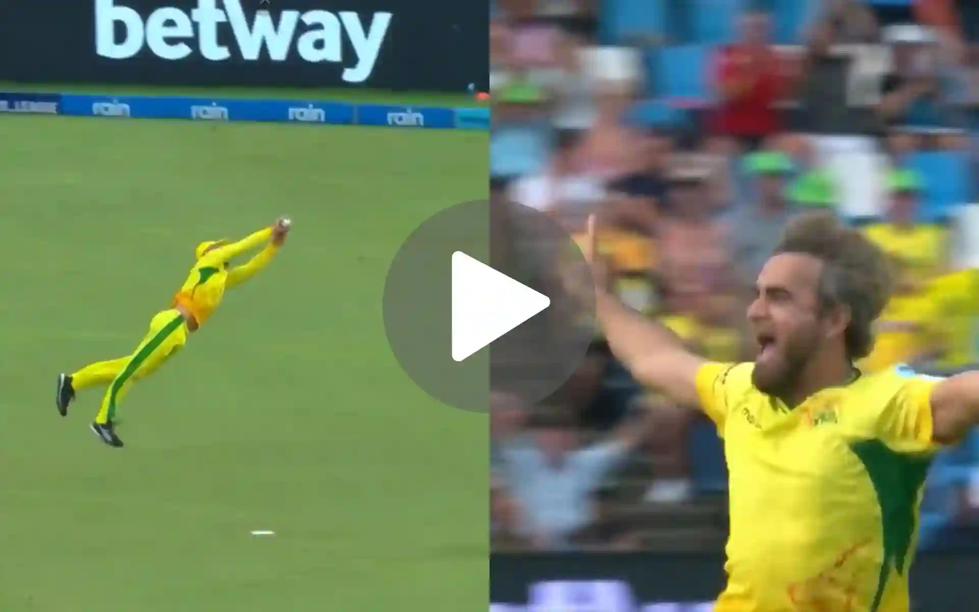 [Watch] Faf du Plessis' Vintage Flying Catch Triggers Imran Tahir's Iconic Celebration